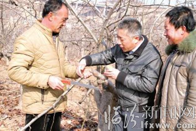 临汾杜凯群:坪城村的“及时雨”