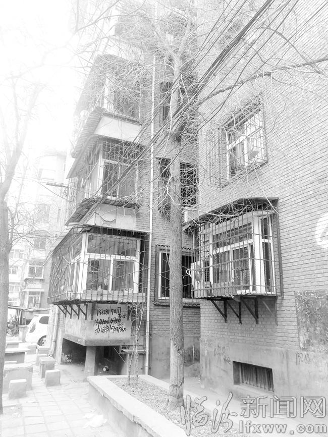 尧都区:危树枯枝摇摇欲坠 居民安全甚担忧