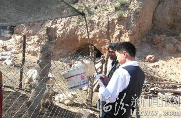 临汾村镇银行:雨后春笋服务三农生力军