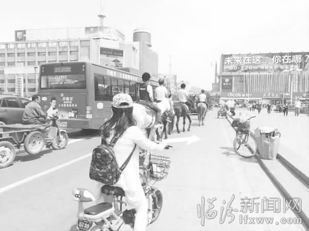 临汾怪象:路上“突现”马匹 路人好奇且忧虑