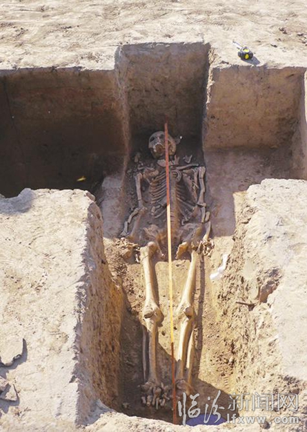 一具男骨骸