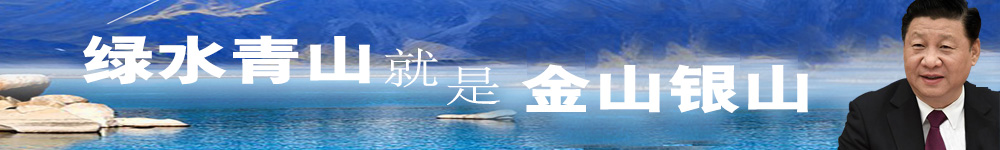 习近平：绿水青山就是金山银山