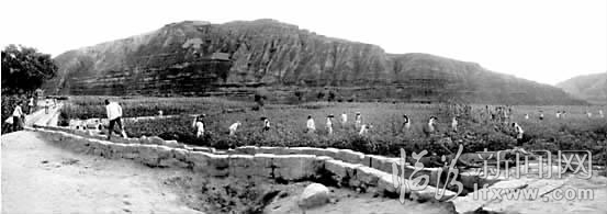 临汾刘音青:一个摄影人 一辈子干不完的事