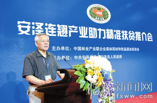 世界连翘在中国 中国连翘数安泽