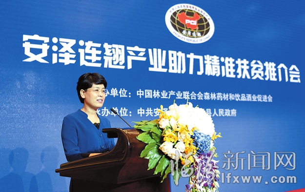 世界连翘在中国 中国连翘数安泽