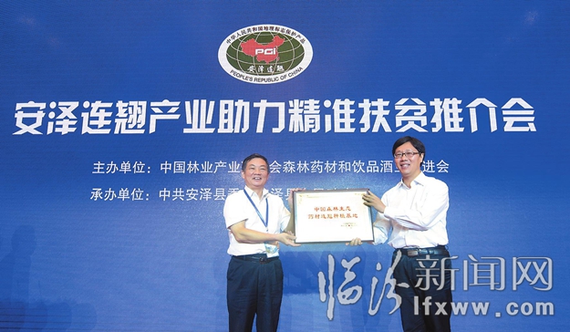 世界连翘在中国 中国连翘数安泽