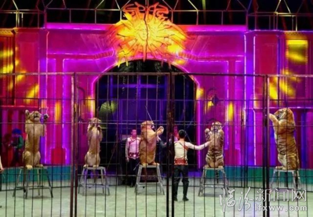 【潼关古城】请您赏灯!十一长假您准备好了吗?