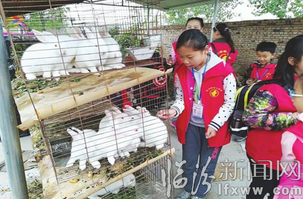 翼城:小记者返璞归真体验“田园生活”