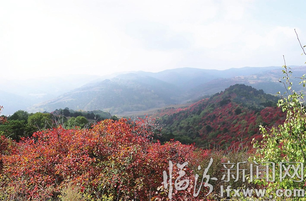 绿水青山看安泽