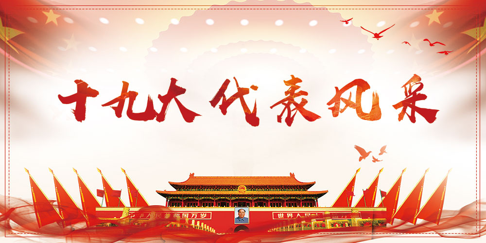 十九大代表风采