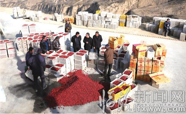 永和南庄乡:枣儿红遍红崖渠 点亮百姓新希望