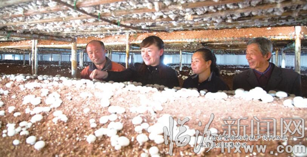 汾西“第一书记”董敏:贫困村的“知心姑娘”