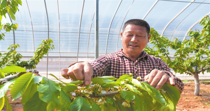 浮山：积极抢抓农时 促进群众增收致富