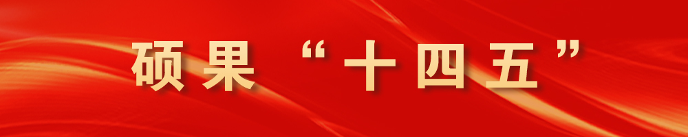 硕果“十四五”