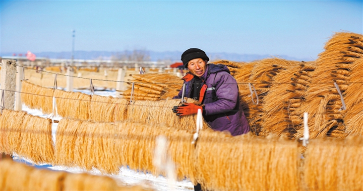 襄汾县：粉条晾晒忙 乡村“薯”味香